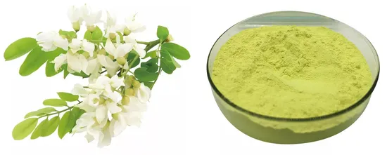  건강 루틴 95%UV NF11;  Sophora Japonica 추출물 루틴